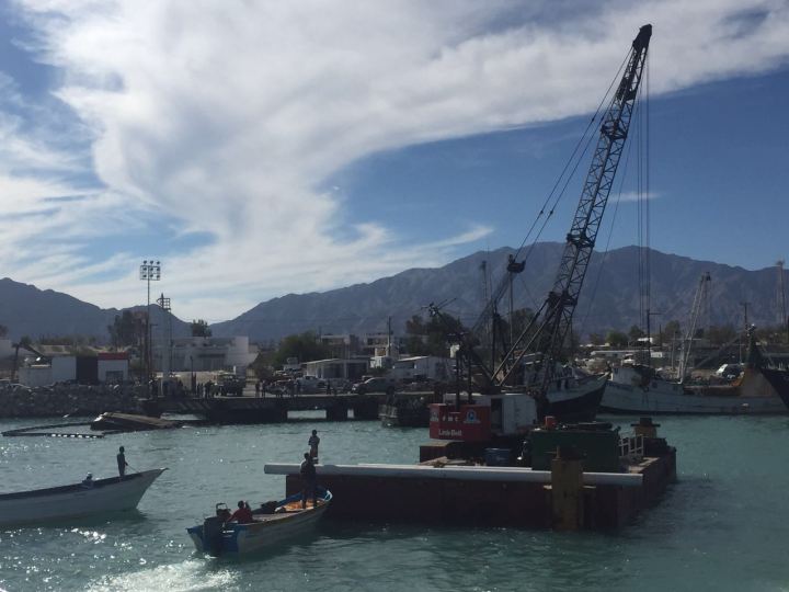 2016-11-13-photo-00000075-1