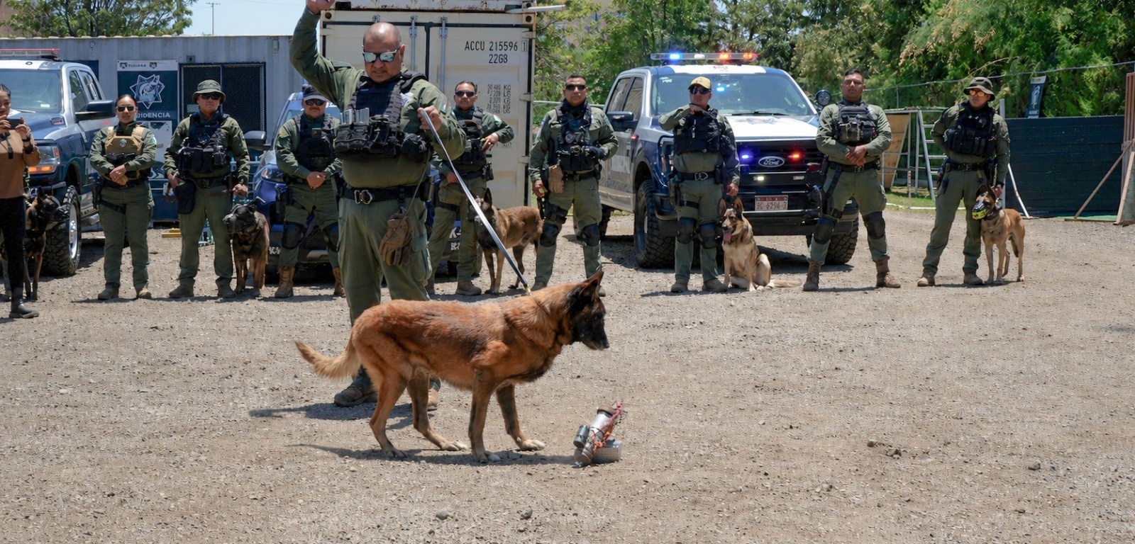 Despide la SSPCM con honores a ‘Rambo’, el histórico primer perro detector de explosivos en Tijuana