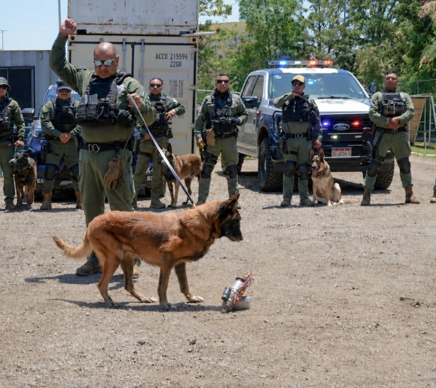 Despide la SSPCM con honores a ‘Rambo’, el histórico primer perro detector de explosivos en Tijuana