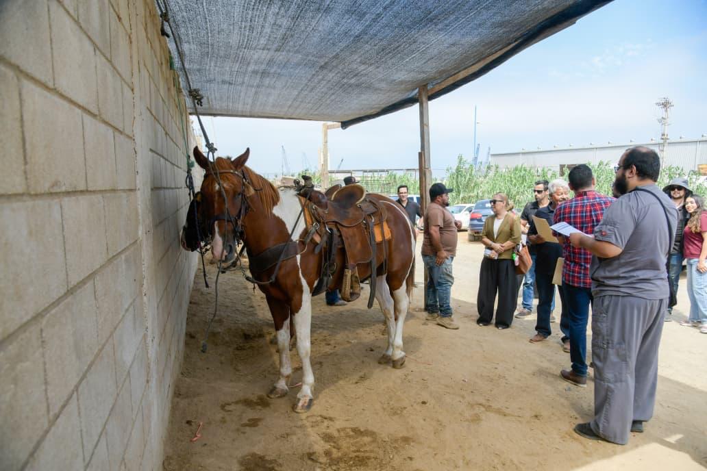 Supervisan SMADS, FGE y Ayuntamiento de Ensenada establo en el bulevar Costero tras muerte de equino
