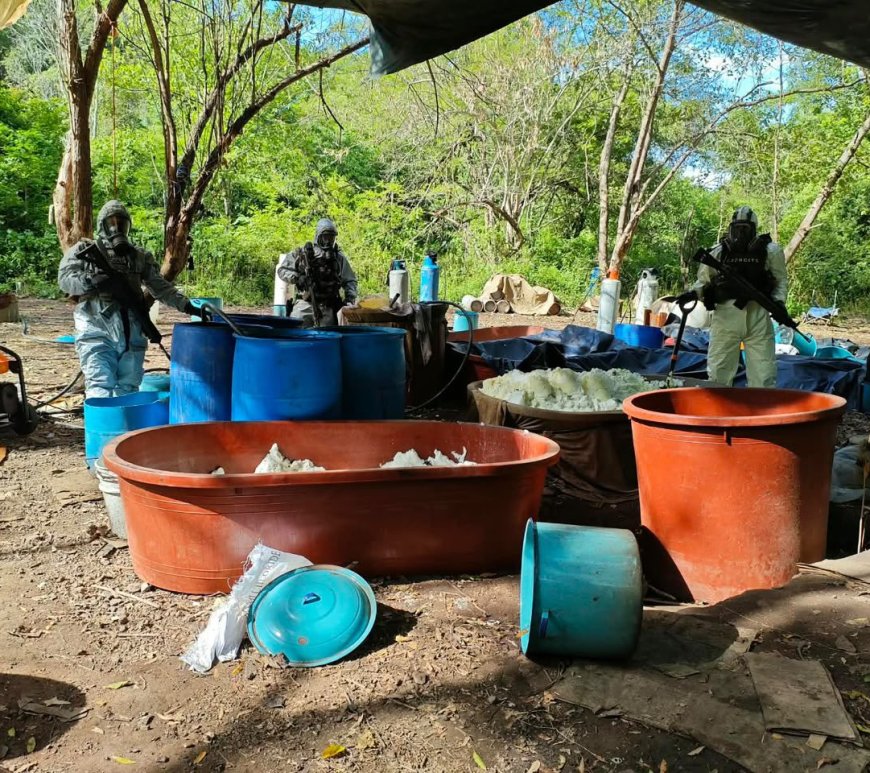 Desmantelan cuatro narcolaboratorios en Michoacán y Guerrero tras enfrentamiento armado