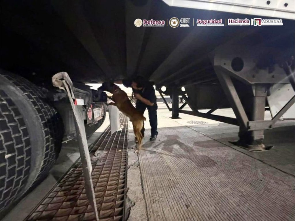Aseguran cerca de 250 kilos de cocaína y fentanilo en la Garita de Otay en Tijuana; hay un detenido