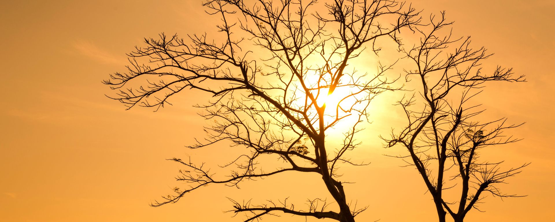 Ola de calor y vientos secos elevarán el termómetro hasta los 40 °C durante los próximos siete días