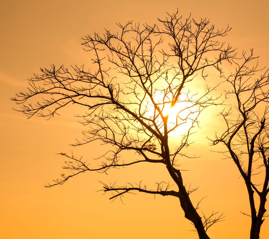 Ola de calor y vientos secos elevarán el termómetro hasta los 40 °C durante los próximos siete días